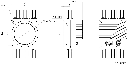CL Series CXP Dimension.webp